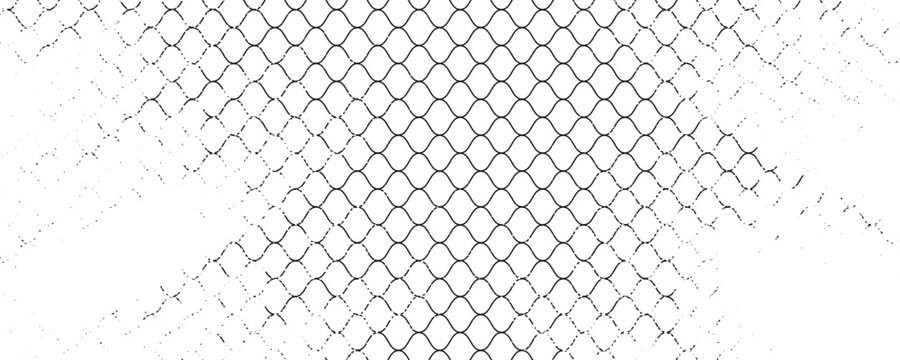Black snake skin pattern isolated on white background vector illustration