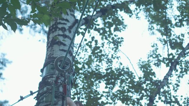 Close-up of a child's hands fastening carabiners and a ring on a safety cable. A boy at a height hooks equipment near a birch tree trunk while crossing a route in a rope park.