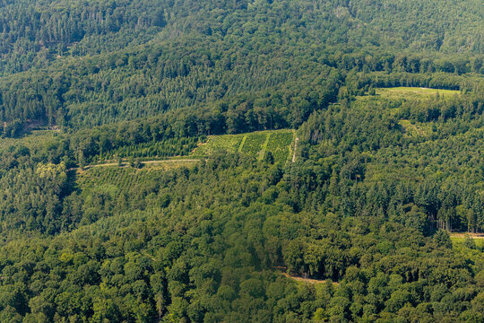 Feld in mitten von W&auml;ldern