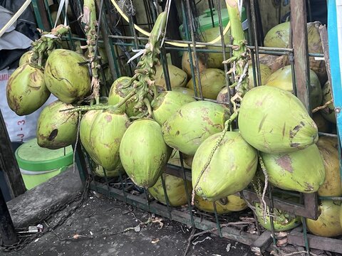 Fresh Green Coconuts on Metal Cart in Market