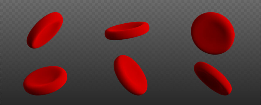 3D red blood cells and platelets, realistic vector illustration isolated on transparent background. Medical erythrocyte set for hematology, medical or biologycal presentation about iron, hemoglobin