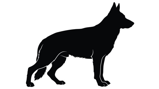 Sharp black silhouette illustration of a german shepherd dog standing in profile against a clean and plain white background area