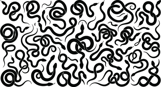Collection of various snake silhouettes in black and white for patterns and graphic design