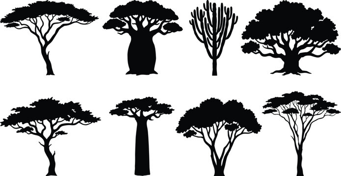 Tree silhouette collection with acacia baobab cactus and broad canopy forms in vector illustration