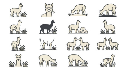 Obraz premium Color accented llama and alpaca vector icons