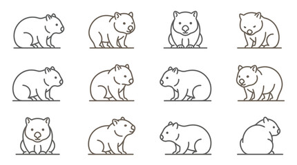 Obraz premium Detailed wombat line icon collection.