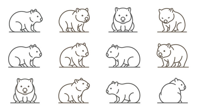 Detailed wombat line icon collection.