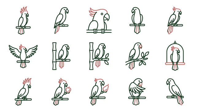 Exotic parrot bird icons with decorative elements.