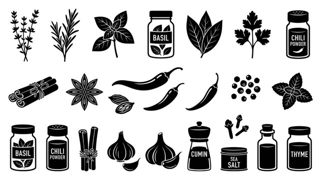 Spice and herb icons with chili basil cinnamon and garlic