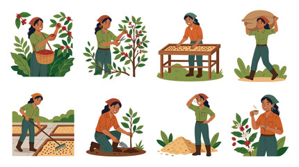 Coffee cultivation and processing stages with female farmer