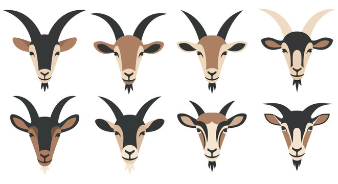Goat Heads Collection Vector Illustration With Brown And Black Markings