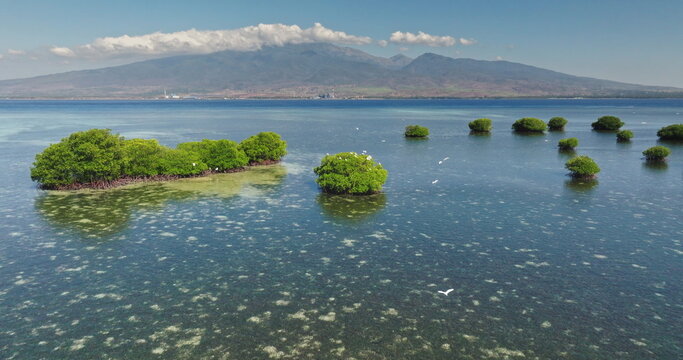 Aerial view Gili Islands lush mangrove islets and coral reefs dotting clear turquoise ocean, with birds flying above and a large distant volcano under scattered clouds. Travel to Lombok. Drone flight