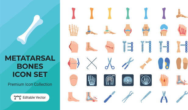 Metatarsal bones medical icon set for foot anatomy and surgery illustration