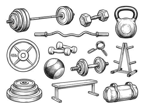 Ink sketch illustration of gym equipment, barbell and dumbbell icons for strength train, isolated on white.