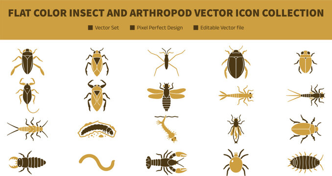 Flat Color Insect and Arthropod Vector Icon Collection With Water Bugs Beetles and Larvae Symbols For Educational Graphic Design Projects
