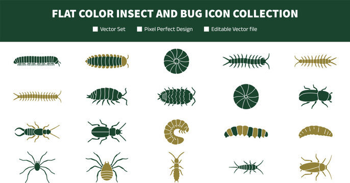 Flat Color Insect and Bug Icon Collection with Crawling Arthropod Symbols for Nature Science and Educational Graphic Design Projects