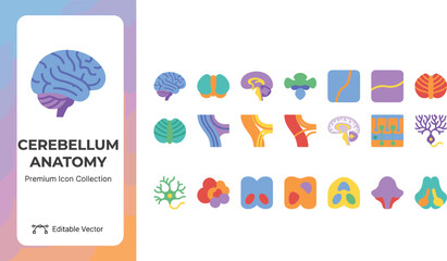 Fototapeta premium Colorful cerebellum anatomy icons set for medical and educational use