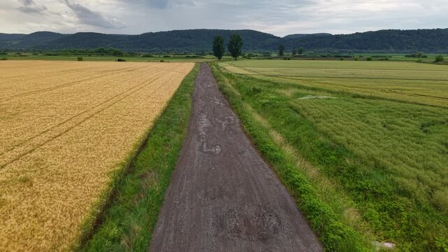 An aerial drone perspective shows a rustic dirt path dividing golden wheat and green crop fields in rural Hungary.