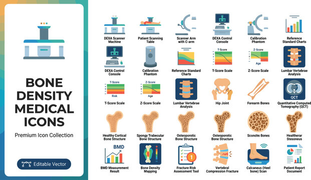 Premium bone density medical icon collection for health apps and reports