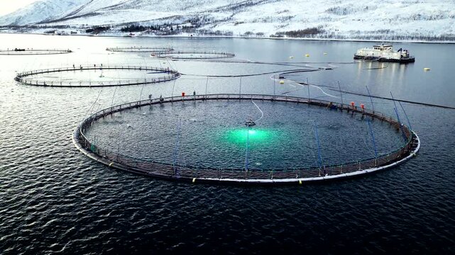 Drone view of circular aquaculture net glowing with green underwater light in dark ocean water during polar night in Tromso, Norway. Aerial
