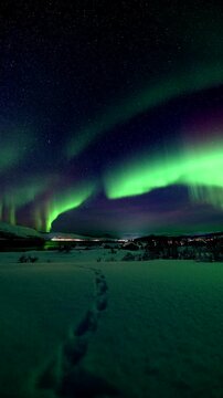 Aurora borealis green streaks sweeping above snowy Skogsfjord landscape, Tromso under starry night sky, static vertical with foot step path