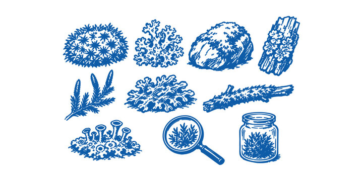 moss and lichen element forest nature botany doodle icon set vector illustration