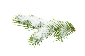 christmas tree branches covered with snow isolated on white or transparent png © David Kreuzberg