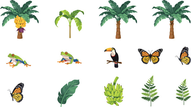 Tropical rainforest vector element set with banana palm trees tree frogs toucan bird monarch butterflies and jungle leaves isolated on white background