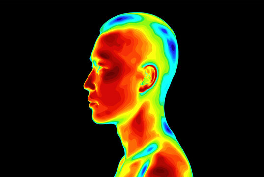 Thermal Scan Profile of Human Head and Neck in Infrared