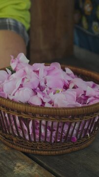 Gentle hand movement above basket of pink petals, soft blur, warm light, calm mood within rustic indoor