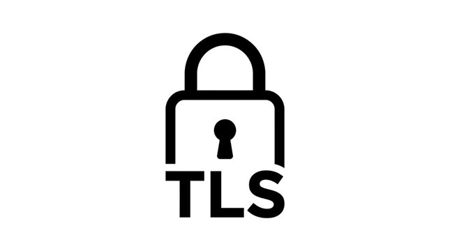 TLS Encryption Lock Icon - Secure Connection Symbol