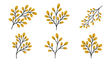 Six yellow berry sprigs on white background. © Ambon