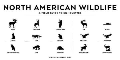 Fototapeta premium North American Wildlife Silhouettes Featuring Moose, Deer, Bear, Elk, Beaver, Coyote, Fox, Raccoon, Bald Eagle, Great Horned Owl