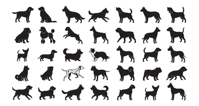Dog Silhouette Set - Black Domestic Dog Breeds Vector Icons Collection Isolated on White