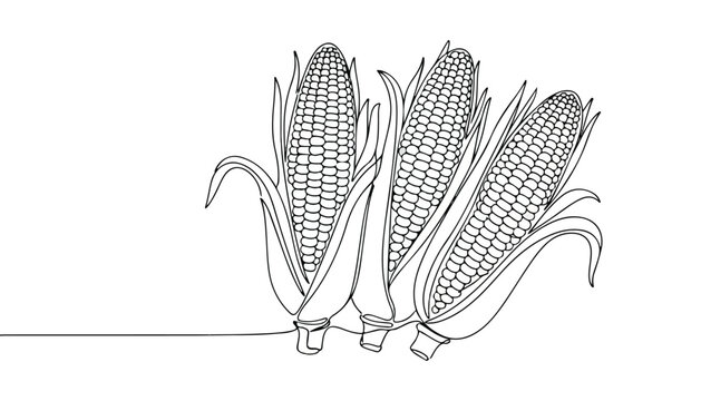 Continuous Simple black line art drawing set of corn in a minimalist style on a white background.