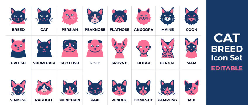 Diverse cat breed head icon set in navy and pink color palette