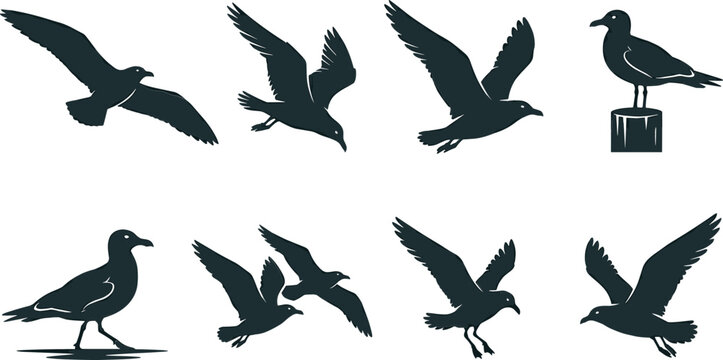Flying Seagull Silhouette Icon Collection Vector Featuring Marine Sea Gulls Soaring Gliding Walking and Perching on Dock Post Elements