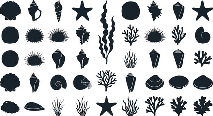 Marine Life Silhouette Icon Set Vector Featuring Seashells Starfish Sea Urchins Kelp Seaweed Coral Reef Flora and Fauna Element Collection © MstAnzu