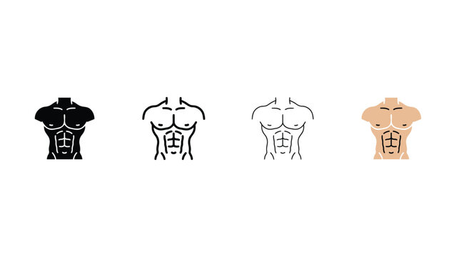 Four different color muscular male torsos with six pack abs illustrations