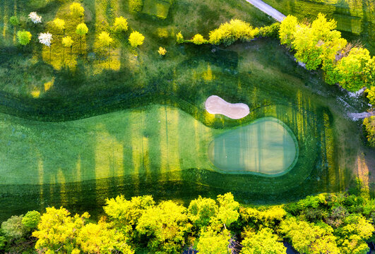 Aerial view of green grass and trees on a golf field