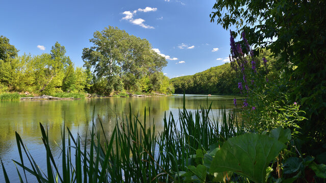 The bend of the Seversky Donets River on a sunny summer day.