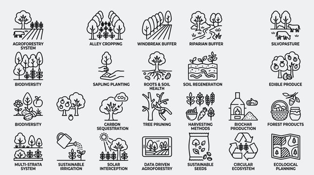 Sustainable agriculture icons for agroforestry alley cropping windbreak buffer riparian buffer silvopasture biodiversity sapling planting roots and soil regeneration.