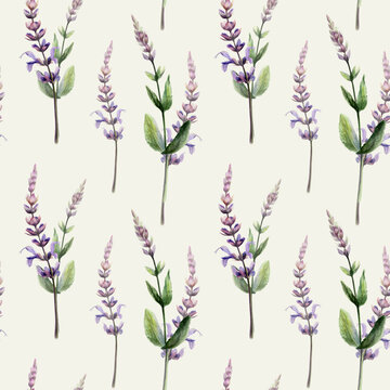 Sage seamless pattern watercolor illustration on cream background. Salvia medicinal herb blossom for calming pharmacy branding, stress relief remedy packaging, sleep tea design, herbal backdrop