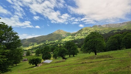 Naklejka premium Schweiz