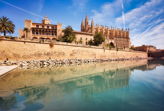 Cathedral of Mallorca and park with palm trees. Parc de la Mar in Palma de Mallorca - panorama
