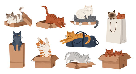 Cute cats, kittens in cardboard boxes, playful feline illustrations, vector set © HUANG