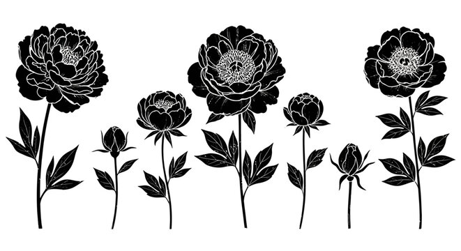 Black flower icons, floral silhouettes, botanical vector graphics, decorative blooms