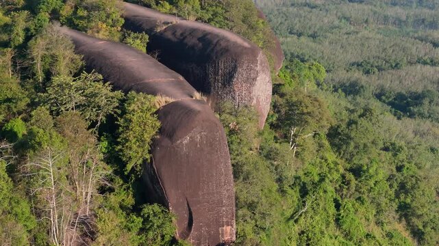 Aerial drone view of Hin Sam Wan, the unique Three Whale Rock formation rising above the dense green jungle canopy of Bueng Kan, Thailand