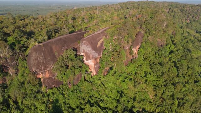 Aerial drone view of Hin Sam Wan, the unique Three Whale Rock formation rising above the dense green jungle canopy of Bueng Kan, Thailand