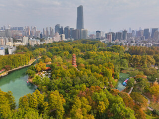 Nanjing City Park with Modern Skyline and Autumn Harmony Aerial View © TranPhuoc